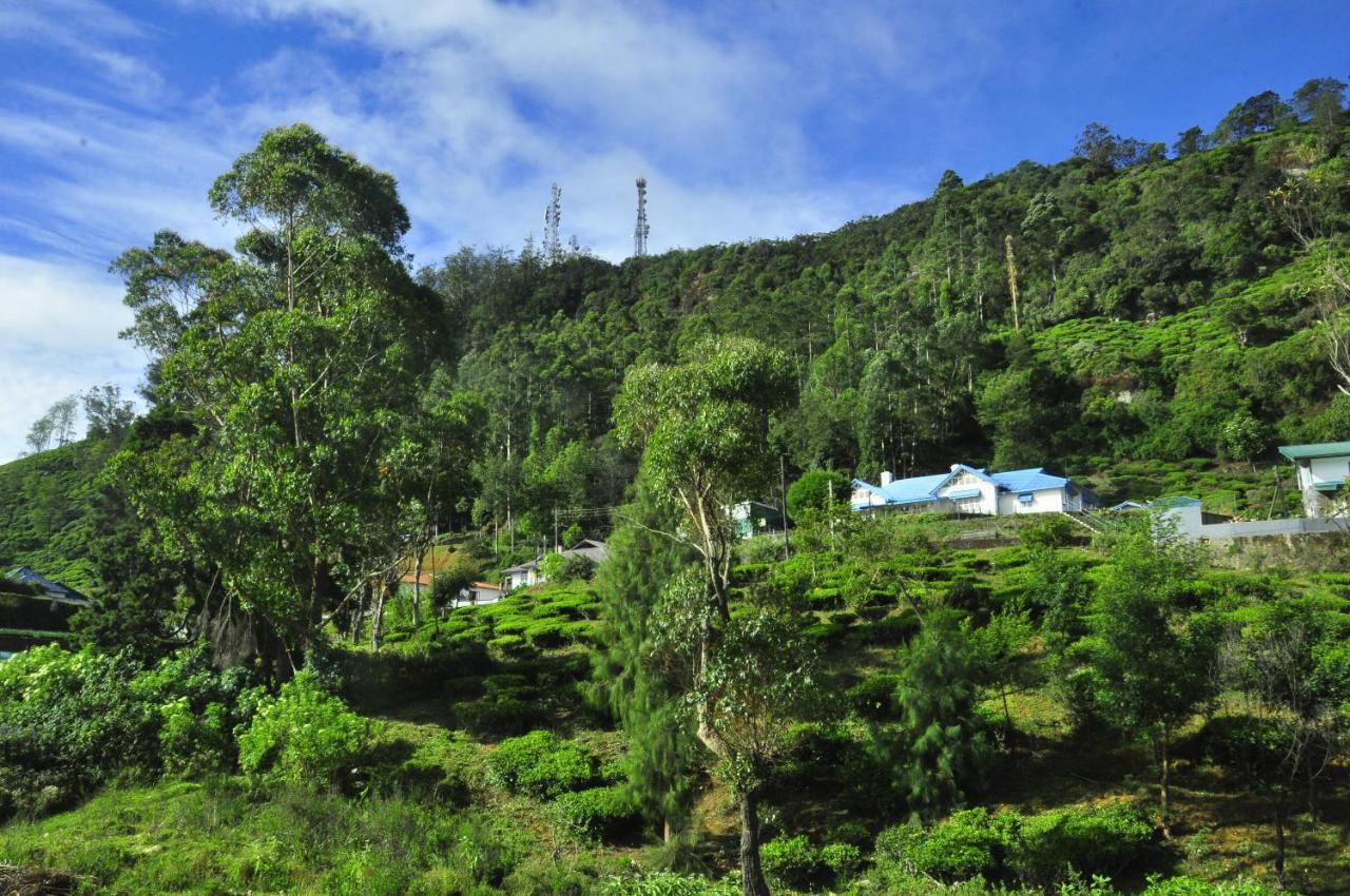 Summer Glow Guest - Nuwara Eliya Ngoại thất bức ảnh