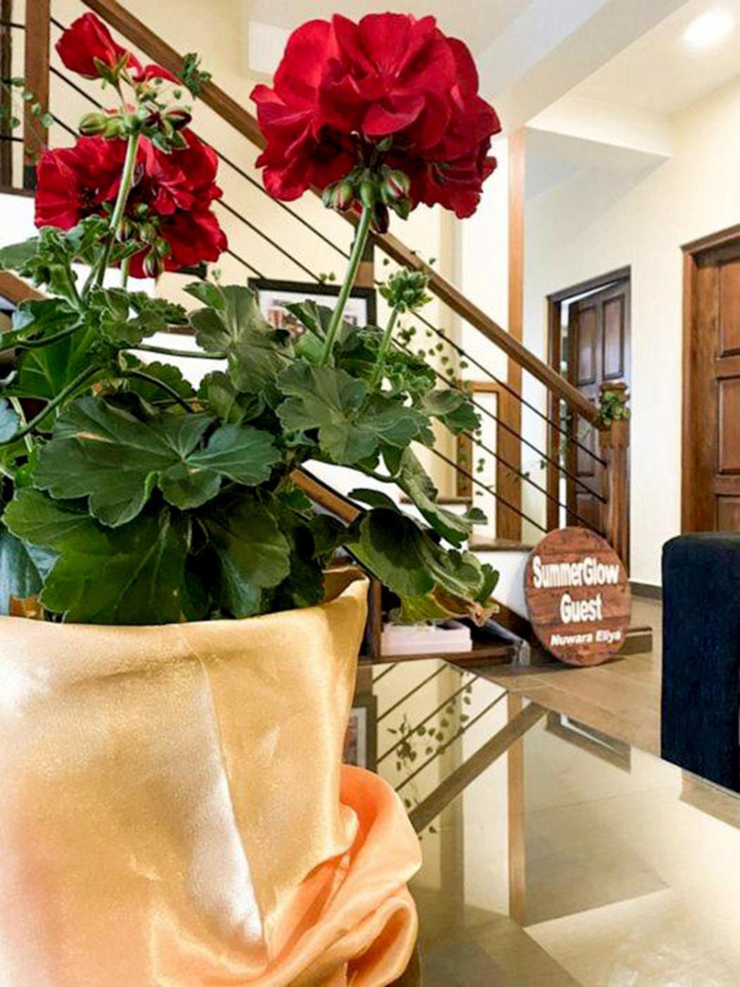 Summer Glow Guest - Nuwara Eliya Ngoại thất bức ảnh